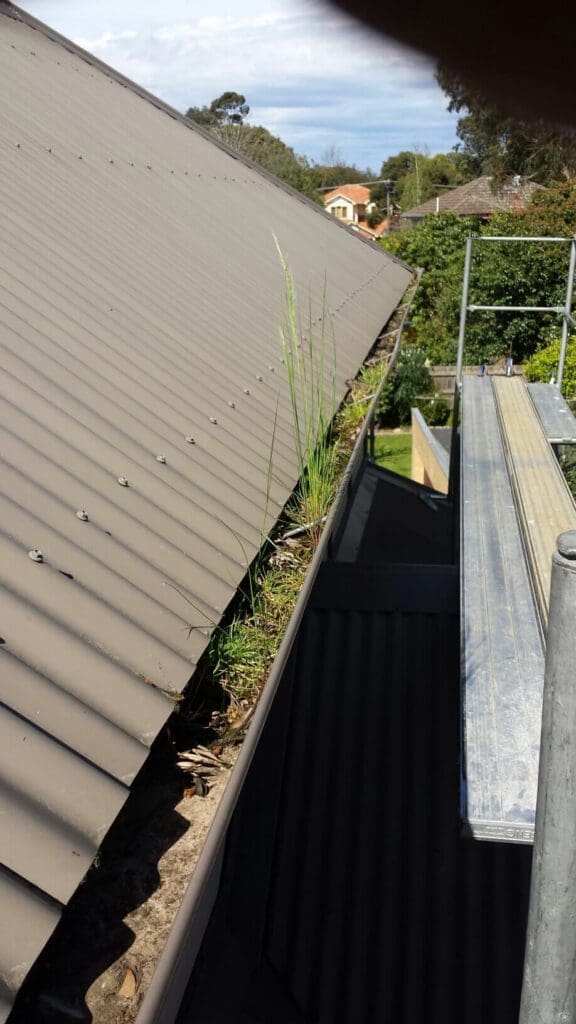 View of roof gutter full of soil and grass debris